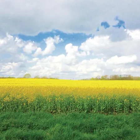 Strandhaus Dom wakacyjny *