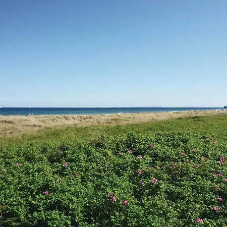 Strandhaus オルペニッツ